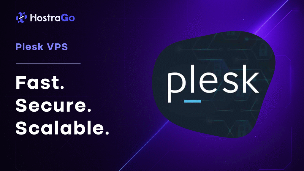 Plesk Panel VPS Hosting