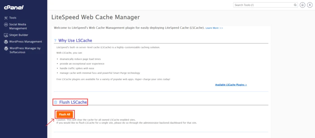 Flush All Cache in cPanel
