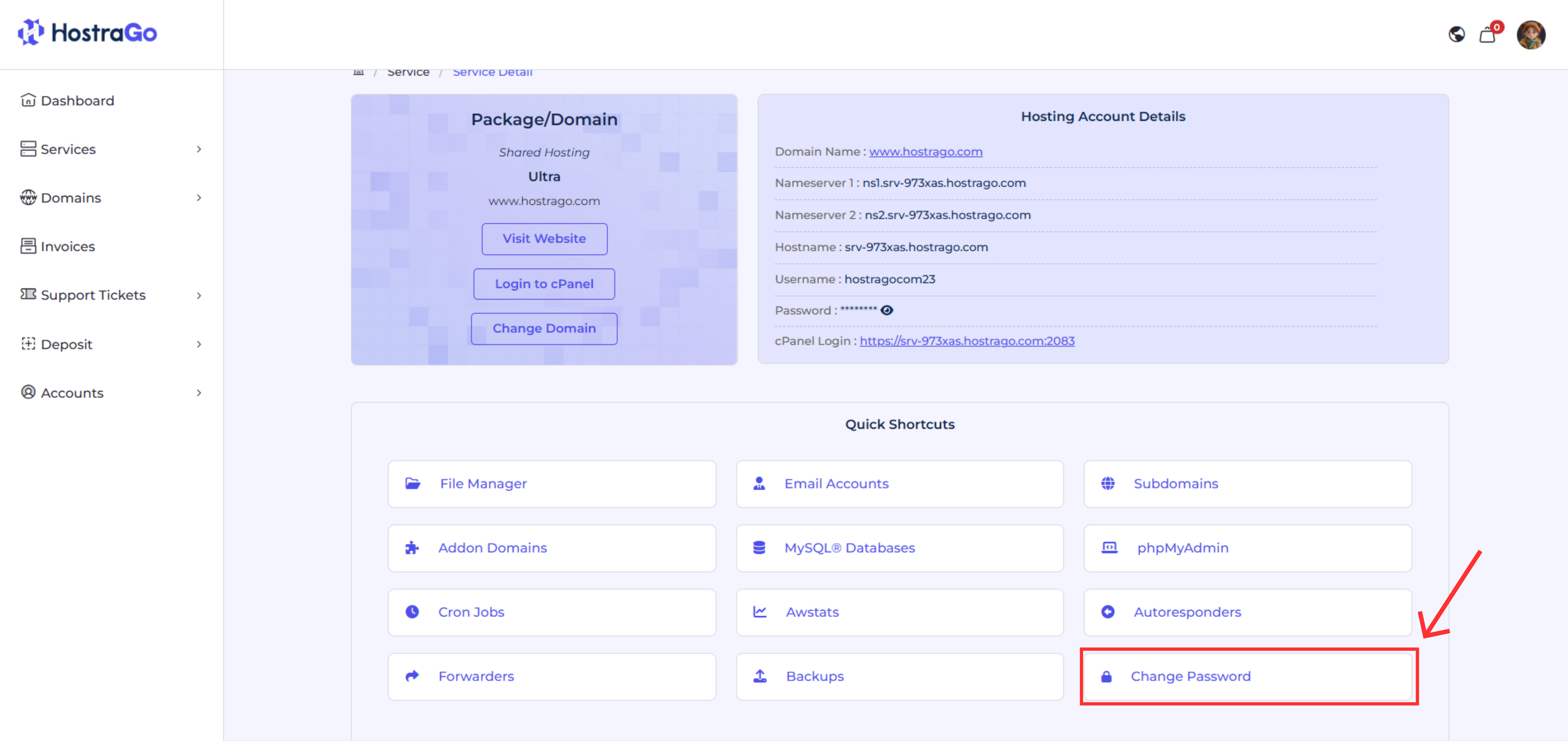 HostraGo dashboard showing hosting details with login and change password options