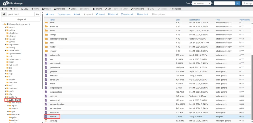 Screenshot showing robots.txt file in File Manager