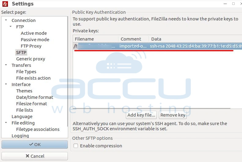 able to view the key file in FileZilla