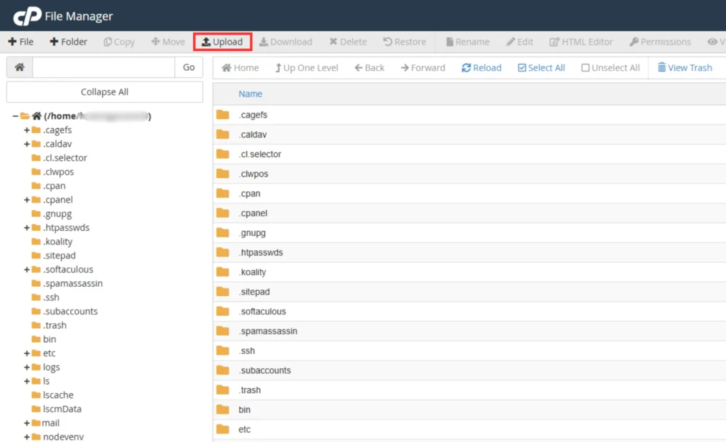 inside public_html folder